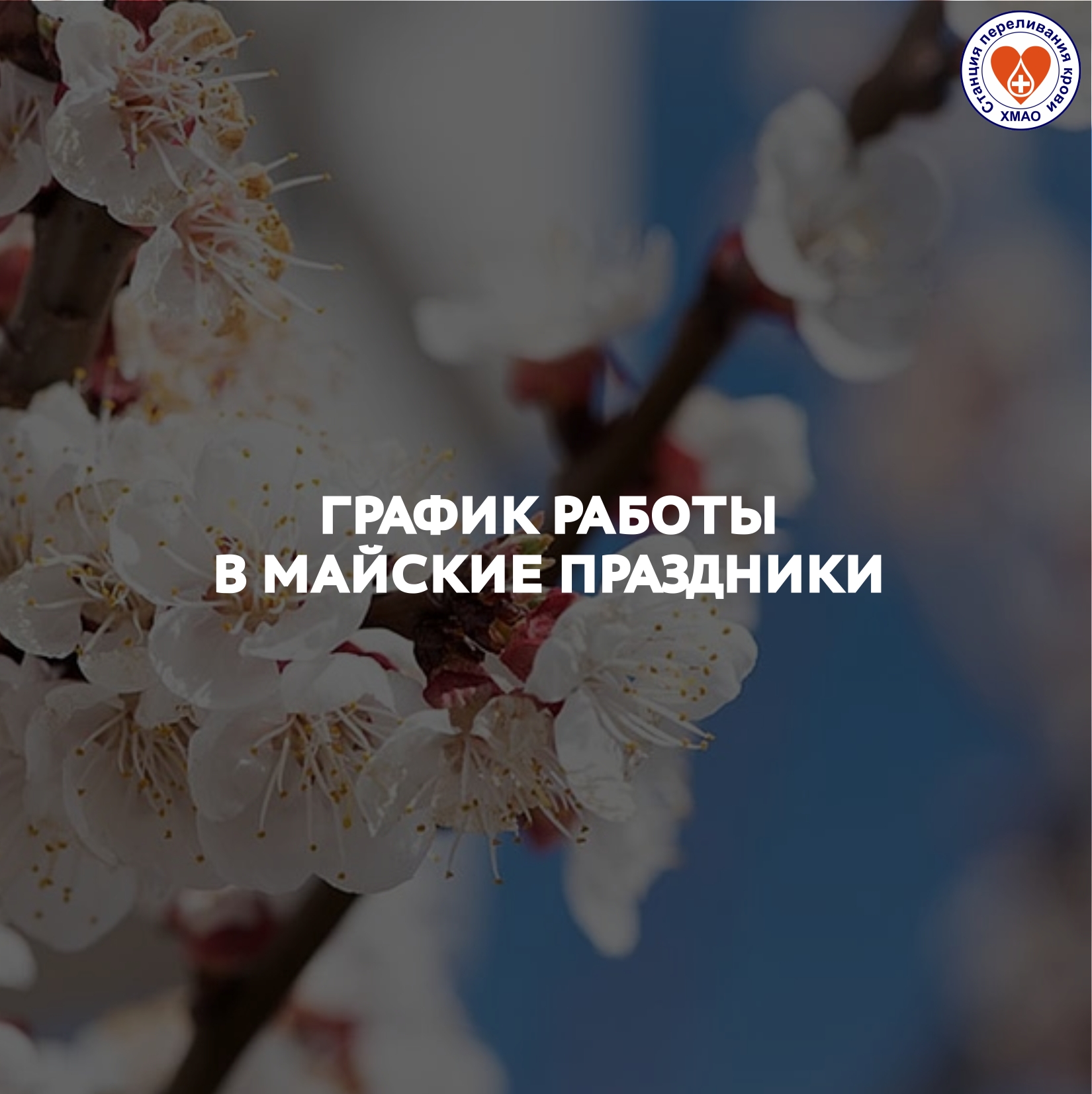 Гордость нашего округа